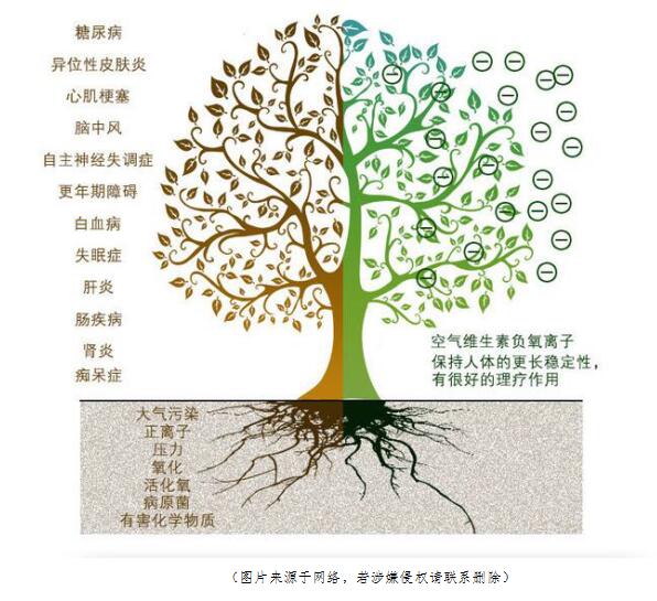 负氧离子作用.jpg